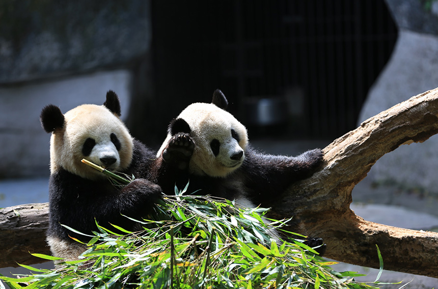 生物多樣性保護(hù)